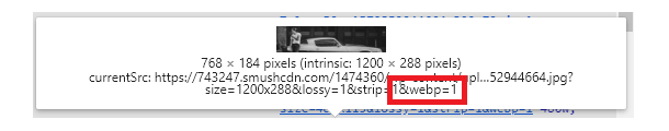 Inspect image for webp format