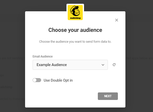 mailchimp-choose-your-audience