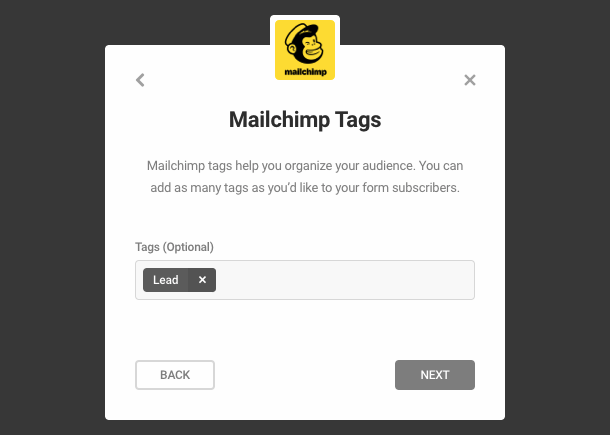 Select Mailchimp Tags in Forminator integration