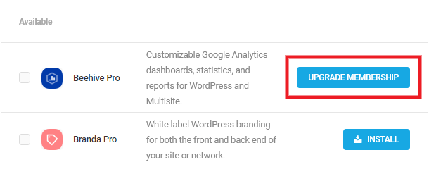 Upgrade prompt in WPMU DEV Dashboard