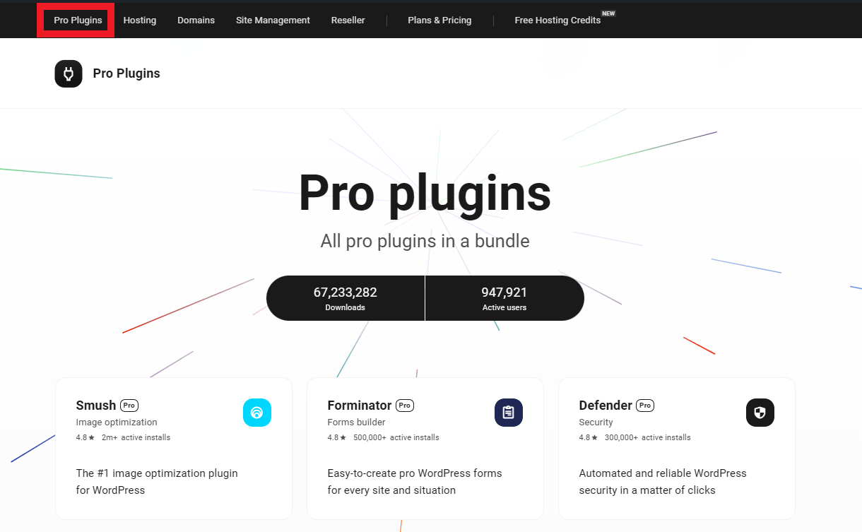 Installing WPMU DEV plugins