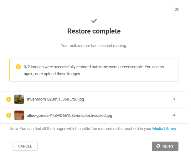 Restoration Error