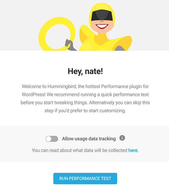 Where you run a performance test in Hummingbird.