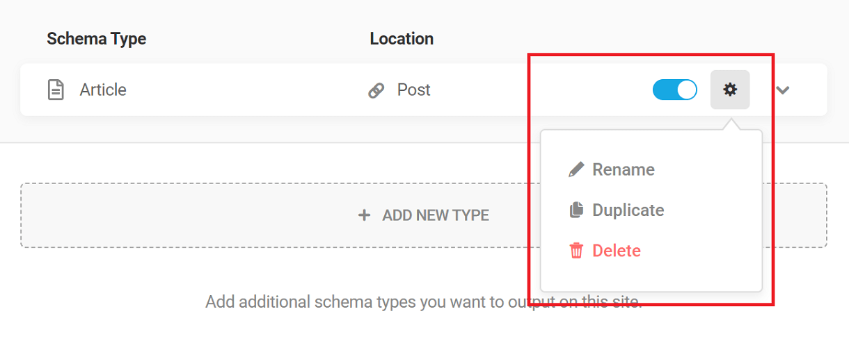 Schema type configuration options