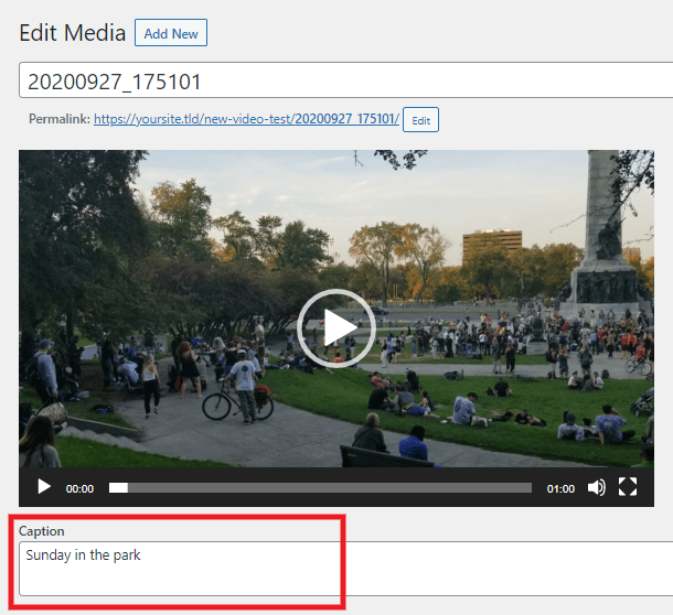 Adding a caption to a video in the media library