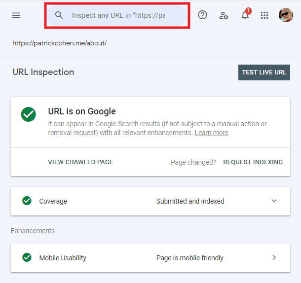 URL confirmed indexed by Google