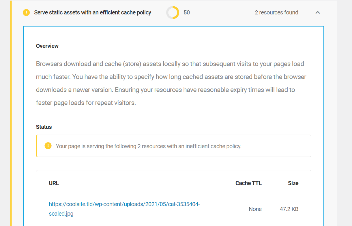 Serve static assets with an efficient cache policy audit