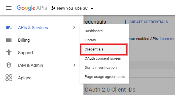 Google console APIs & Services Credentials