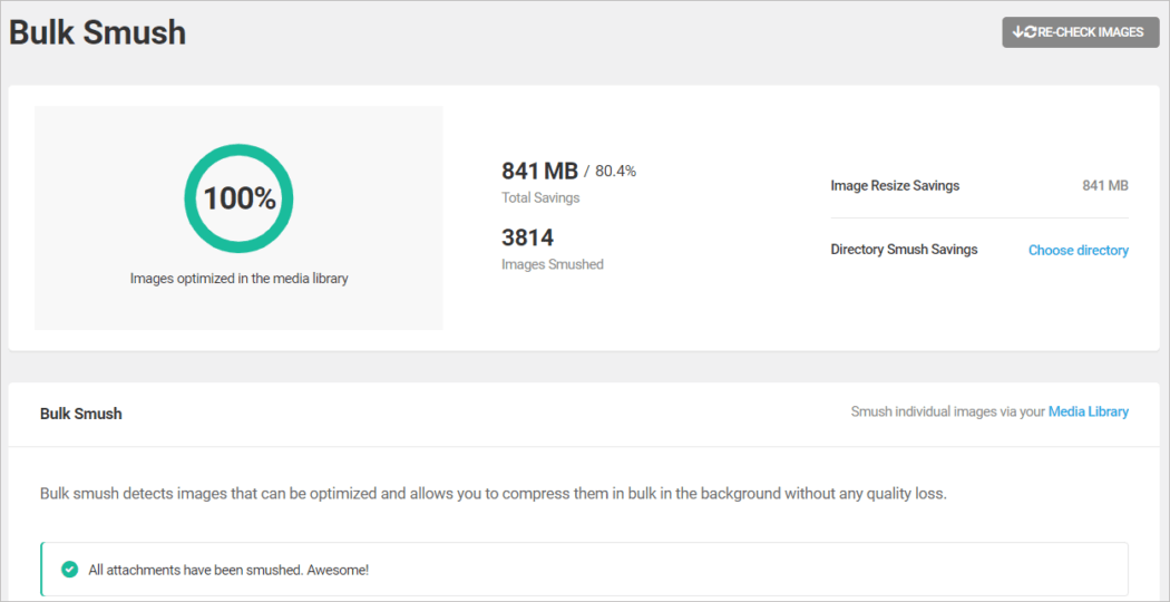 Smush optimization dashboard.