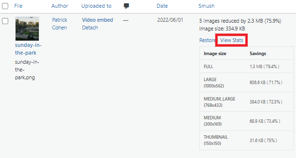 View Smush stats for an image
