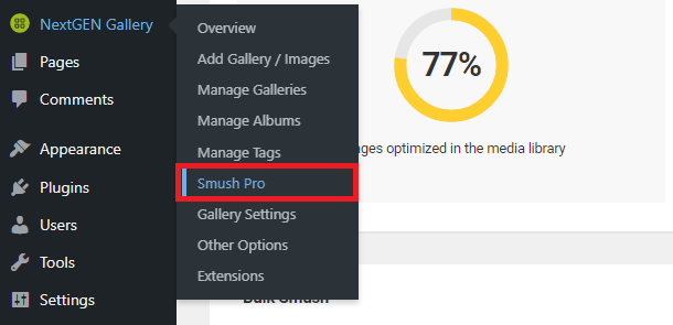 Enable Nextgen Gallery integration