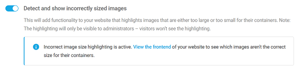 Smush Settings Detect Wrong Size Images