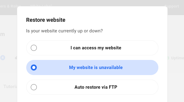 Backup restore options in the Hub