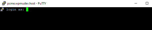 Creating an SSH tunnel with PuTTY