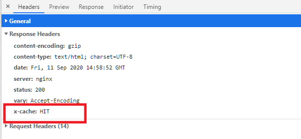 Check if static cache is enabled using browser tools