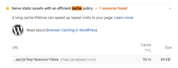 Google PageSpeed efficient cache policy metric