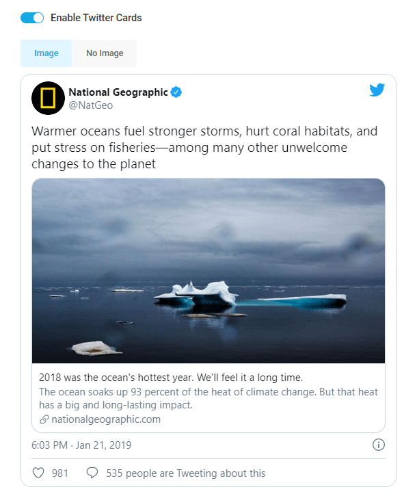 twitter cards image preview
