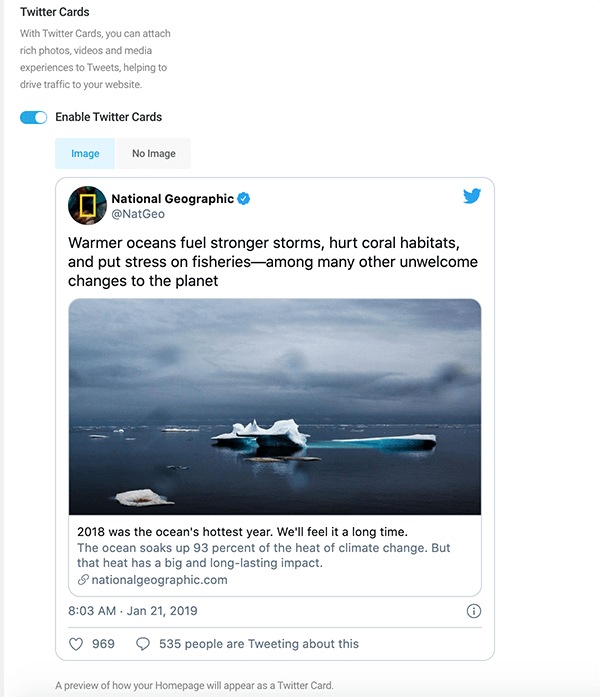 Preview of how a post will look on Twitter.