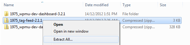 Extract zip file