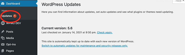 The update area in WordPress admin.