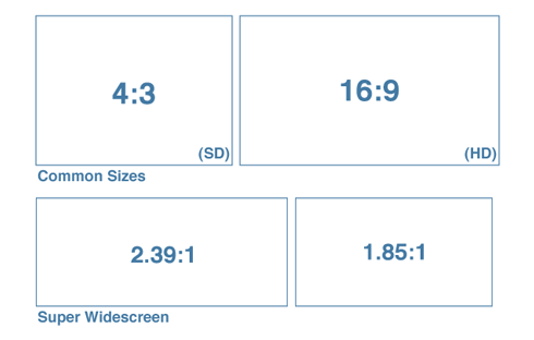For professional videos on your site, the 16:9 aspect ratio is usually best.