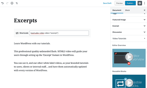 Integrated videos in Gutenberg dashboard
