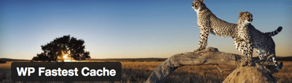 WP Fastest Cache image
