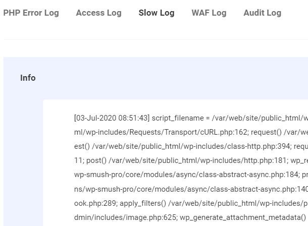 WPMU DEV slow log