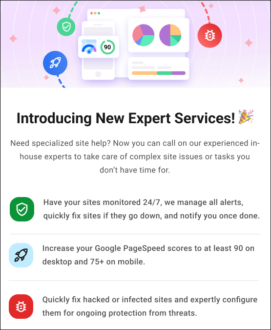 WPMU DEV Expert Services splash screen.