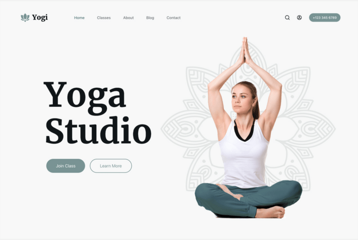 Yogi